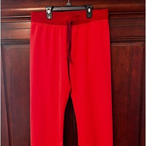 FIGS SCRUB PANTS IN THE COLOR CLAY